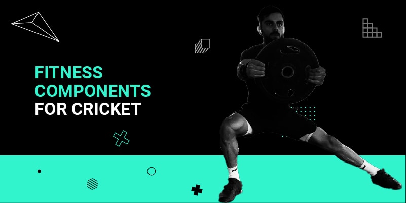 Fitness Components For Cricket